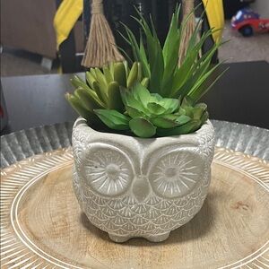 Owl Shaped Planter with Succulents